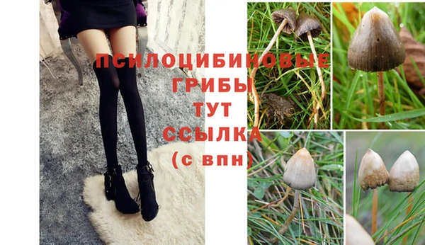 стаф Киреевск