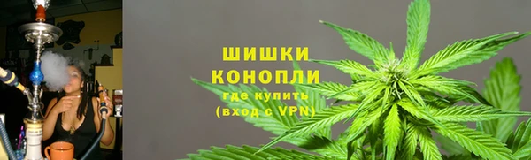индика Козловка