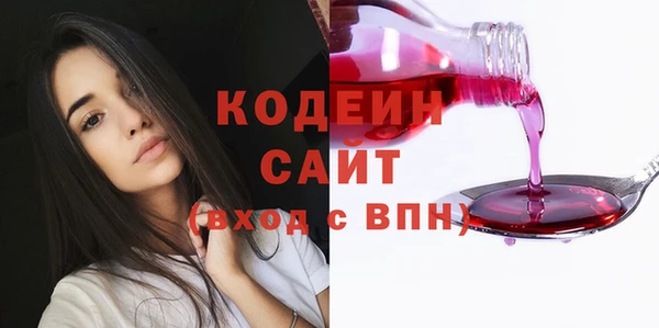 сатива Козельск