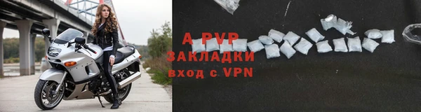 индика Козловка