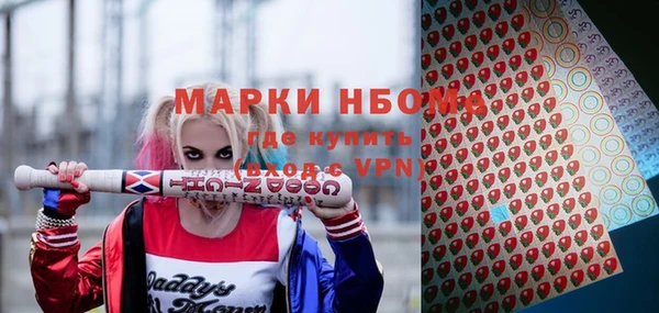 прущие грибы Киренск