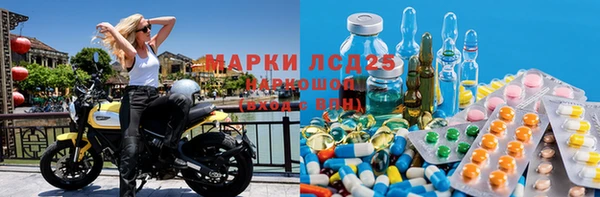 гашик Зеленокумск