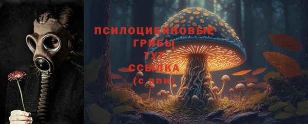 стаф Киреевск