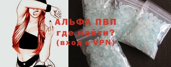 сатива Козельск