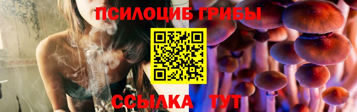 Псилоцибиновые грибы Psilocybine cubensis  Вход с VPN  Карабулак  Псилоцибиновые грибы Cubensis 
